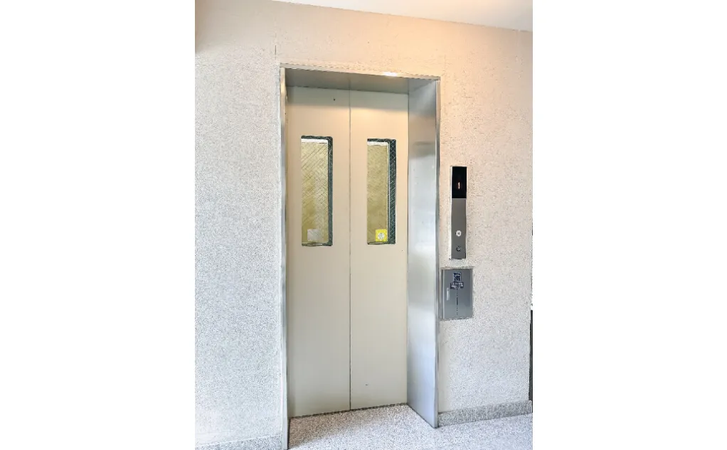 갤러리 사진 6