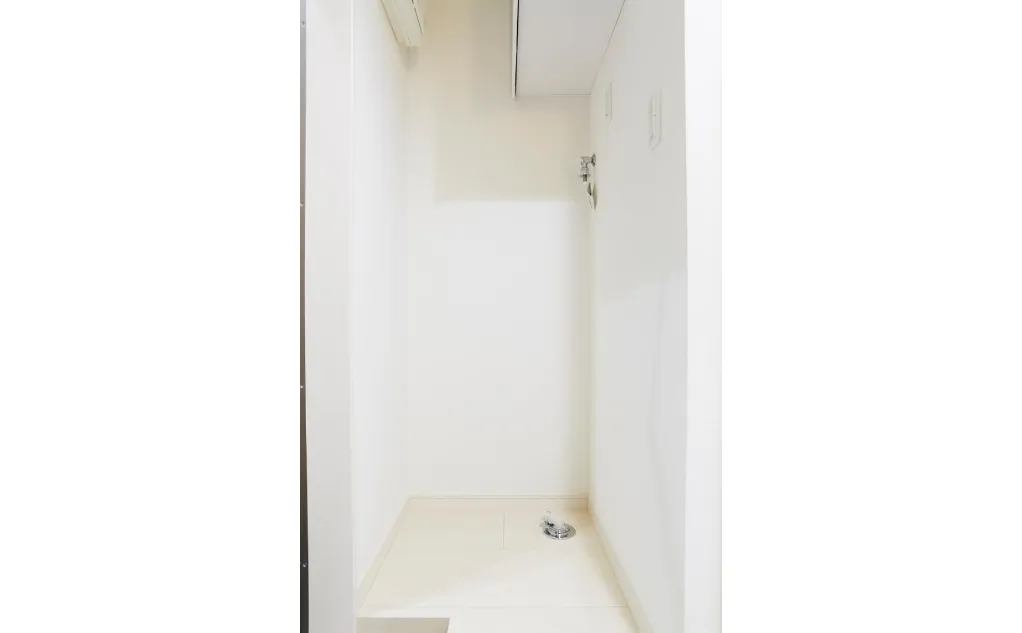 갤러리 사진 8