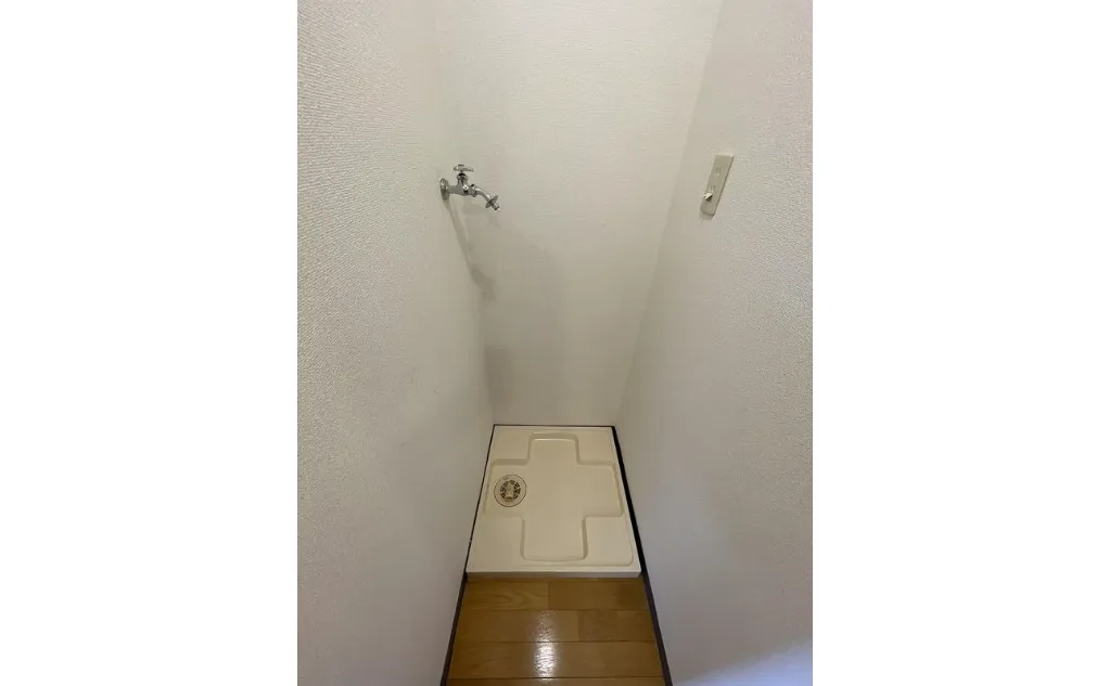 갤러리 사진 9