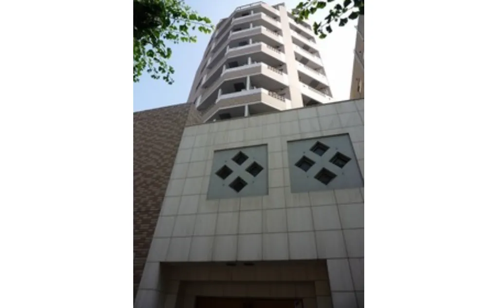 갤러리 사진 5